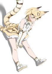 Rule 34 | 1girl, absurdres, animal ear fluff, animal ears, blonde hair, bow, bowtie, cat ears, cat girl, cat tail, elbow gloves, extra ears, full body, gloves, hair between eyes, high-waist skirt, highres, kemono friends, looking away, print bow, print gloves, print skirt, sand cat (kemono friends), sand cat print, shirt, short hair, simple background, sitting, skirt, solo, tail, tanabe (fueisei), white background, white shirt, yellow eyes