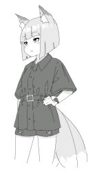 Rule 34 | 1girl, animal ear fluff, animal ears, collared shirt, cropped legs, dress shirt, fox ears, fox girl, fox tail, greyscale, hand on own hip, highres, kitsune, kuro kosyou, monochrome, original, parted lips, shirt, short hair, short shorts, short sleeves, shorts, simple background, solo, tail, white background, wide sleeves