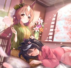 Rule 34 | 2girls, alternate costume, animal ears, black hair, blurry, blurry foreground, blush, brown hair, cherry blossoms, closed mouth, commentary request, day, flower, grey hair, hand fan, haori, highres, horse ears, indoors, japanese clothes, kimono, kitasan black (umamusume), lap pillow, long hair, looking at viewer, multicolored hair, multiple girls, paper fan, petals, pink kimono, satono diamond (umamusume), short hair, sleeping, smile, streaked hair, sunny (20597521), uchiwa, umamusume, vase, window, yellow eyes, yellow kimono