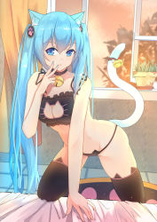 Rule 34 | 1girl, absurdres, animal ears, bell, black panties, black thighhighs, blue eyes, blue hair, breasts, cat cutout, cat ear panties, cat ears, cat girl, cat lingerie, cat tail, choker, cleavage, cleavage cutout, clothing cutout, hatsune miku, highres, jingle bell, long hair, looking at viewer, medium breasts, meme attire, menghuan tian, neck bell, panties, parted lips, plant, solo, tail, thighhighs, twintails, underwear, very long hair, vocaloid