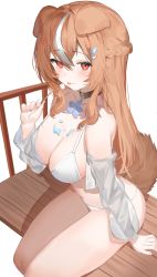 Rule 34 | 1girl, absurdres, animal ears, bench, bikini, black choker, blue flower, blush, braid, breasts, choker, cleavage, dog ears, dog girl, dog tail, flower, food, french braid, hair between eyes, hair ornament, highres, holding, large breasts, long hair, looking at viewer, melting, multicolored hair, nail polish, neck flower, orange hair, original, pink nails, popsicle, popsicle stick, red eyes, see-through, see-through sleeves, simple background, sitting, solo, sorotu, streaked hair, swimsuit, tail, white background, white bikini, white hair