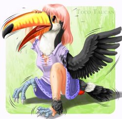 Rule 34 | bird, breasts, edmol, feathers, pink hair, red eyes, toucan, transformation, wings