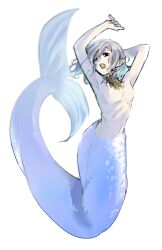 Rule 34 | 1boy, alternate species, androgynous, black eyes, blue scales, dungeon meshi, elf, fins, gorget, grey hair, highres, lazy eye, looking at viewer, male focus, medium hair, merman, mithrun, monster boy, no nipples, notched ear, open mouth, pointy ears, scales, simple background, solo, topless male, uneven eyes, white background, zo na