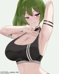 Rule 34 | 1girl, absurdres, amai-pai, arm behind head, arm up, armpits, black choker, black sports bra, blush, breasts, choker, cleavage, closed mouth, green hair, highres, large breasts, looking at viewer, midriff, presenting armpit, purple eyes, seductive smile, side ponytail, smile, solo, sousou no frieren, sports bra, sweat, ubel (sousou no frieren), upper body, v