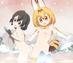 Rule 34 | 10s, 2girls, animal ears, bad id, bad pixiv id, bathing, black gloves, black hair, blonde hair, blush, breasts, bucket hat, convenient censoring, elbow gloves, gloves, hair between eyes, hat, hat feather, highres, kaban (kemono friends), kemono friends, looking down, multiple girls, niko (tama), nipples, nude, onsen, open mouth, serval (kemono friends), serval print, serval tail, short hair, small breasts, smile, steam, tail, thighhighs, wading, wavy hair