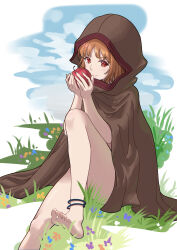 Rule 34 | &gt;:), 1girl, absurdres, anklet, apple, barefoot, bright pupils, brown cloak, brown hair, chinese commentary, cloak, commentary request, convenient censoring, convenient leg, day, feet, food, foot out of frame, fruit, grass, hands up, heart, heart-shaped pupils, highres, holding, holding food, holding fruit, holo, hood, hood up, jewelry, knee up, long hair, looking at viewer, making-of available, nose, on grass, outdoors, own hands together, red apple, red eyes, senbonsang, sitting, smile, soles, solo, spice and wolf, split mouth, symbol-shaped pupils, thighs, toes, v-shaped eyebrows, very long hair, white pupils