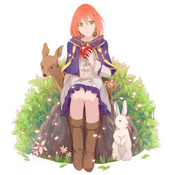 Rule 34 | 1girl, absurdres, akagami no shirayukihime, apple, boots, rabbit, cape, capelet, deer, flower, food, fruit, green eyes, highres, latte7, looking at viewer, pixiv id 4305025, red hair, shirayuki (akagami no shirayukihime), sitting, smile, solo, uniform, white background