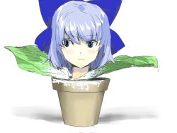 Rule 34 | 1girl, bad id, bad pixiv id, cirno, female focus, flower pot, highres, kai (kai 013), plant, potted plant, simple background, sketch, solo, touhou, wallpaper, what, white background