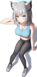 Rule 34 | 1girl, absurdres, adjusting hair, animal ear fluff, animal ears, arm behind head, arm support, armpits, black pants, blue archive, blue eyes, breasts, cleavage, collarbone, commentary request, cross hair ornament, from above, full body, grey hair, hair between eyes, hair ornament, halo, highres, looking at viewer, looking up, medium breasts, medium hair, mismatched pupils, navel, pants, shiroko (blue archive), shoes, sidelocks, simple background, sitting, sleeveless, sneakers, solo, sports bra, sportswear, stomach, topgear, white background, wolf ears, wolf girl