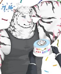 Rule 34 | 1boy, absurdres, animal ears, arknights, arm behind head, bara, birthday cake, black tank top, blush, cake, character cake, confetti, dated, facial hair, food, fronsei, furry, furry male, goatee, happy birthday, highres, large pectorals, male focus, mountain (arknights), muscular, muscular male, pectorals, scar, scar across eye, short hair, shy, sidepec, solo focus, tank top, thick arms, thick eyebrows, tiger boy, tiger ears, upper body, white fur, white hair