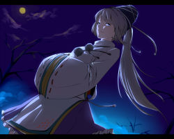 Rule 34 | 1girl, aritoki ritsu, bare tree, blue eyes, dutch angle, face, female focus, full moon, hands in opposite sleeves, hat, japanese clothes, kariginu, letterboxed, long hair, mononobe no futo, moon, night, ponytail, silver hair, skirt, sky, solo, tate eboshi, touhou, tree, wide sleeves