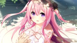 Rule 34 | 1girl, aihara shion, blush, bow, breasts, female focus, floating hair, floor, from above, game cg, hair between eyes, happy, holding hands, interlocked fingers, jacket, large breasts, long hair, looking at viewer, nose blush, original, out of frame, outdoors, pink hair, pov, purple eyes, shadow, shion to one room: kizuna kirameku koi iroha ss, smile, tree, two side up, upper body, usume shirou