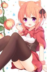 Rule 34 | 1girl, :d, absurdres, animal ears, black thighhighs, blush, breasts, candy, capelet, collarbone, commentary request, corset, fang, food, gochuumon wa usagi desu ka?, hanakoizumi yoruno, highres, holding, holding candy, holding food, hood, hooded capelet, hoto cocoa, kemonomimi mode, legs together, looking at viewer, one side up, open mouth, pink scrunchie, plant, polka dot, polka dot background, pumpkin, purple eyes, red capelet, red skirt, scrunchie, shirt, short hair, sitting, skirt, small breasts, smile, solo, star (symbol), strapless, thighhighs, thighs, tube top, upskirt, vines, white background, white shirt, wolf ears, wrist scrunchie