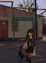 Rule 34 | 1girl, bag, barred window, black cat, black dress, black footwear, blush, brown eyes, brown hair, brown socks, building, cardigan, cat, commentary, door, drain (object), dress, english commentary, full body, green cardigan, grocery bag, highres, holding, holding bag, io (onisarashi), long hair, long sleeves, muted color, original, outdoors, russian text, shopping bag, socks, translation request, tree, utility pole, window