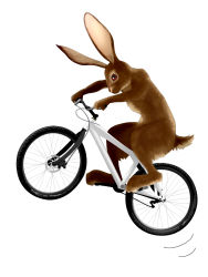 Rule 34 | ami (kawasemidori), bicycle, rabbit, highres, no humans, pun