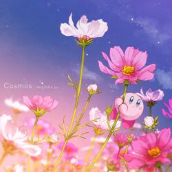Rule 34 | :o, artist name, blurry, blurry background, blurry foreground, blush, blush stickers, bud, closed mouth, cloud, commentary, cosmos (flower), depth of field, dusk, flower, gradient sky, kirby, kirby (series), kotori (lycka), light particles, mixed-language commentary, nintendo, no humans, outdoors, pink flower, plant, purple eyes, sky, solo, star (sky), twilight, twitter username, white flower