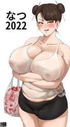 Rule 34 | 1girl, 2022, breasts, capcom, chun-li, highres, huge breasts, solo, street fighter, zeroqrisu