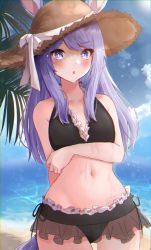 Rule 34 | 1girl, :o, alternate costume, animal ears, arm at side, bare shoulders, beach, bikini, black bikini, blue sky, blush, breast hold, breasts, bright pupils, brown hat, clear sky, collarbone, commentary request, day, dot nose, eyelashes, frilled bikini, frills, hat, horse ears, horse girl, horse tail, kotatsu mikan (kotatumika), long hair, looking at viewer, mejiro mcqueen (umamusume), navel, ocean, open mouth, outdoors, palm tree, purple eyes, purple hair, sidelocks, sky, solo, standing, stomach, straw hat, sweat, sweatdrop, swimsuit, tail, tree, umamusume, water, white pupils