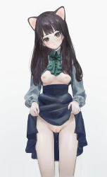 Rule 34 | 1girl, animal ears, anouetto, bare legs, black hair, blue shirt, blue skirt, blush, breasts, breasts out, brown eyes, cat ears, cleft of venus, closed mouth, clothes lift, collared shirt, copyright request, green neckwear, high-waist skirt, highres, lifted by self, long sleeves, looking at viewer, mole, mole under eye, nipples, no bra, no panties, puffy long sleeves, puffy sleeves, pussy, pussy juice, shirt, simple background, skirt, skirt lift, small breasts, solo, standing, straight hair, white background