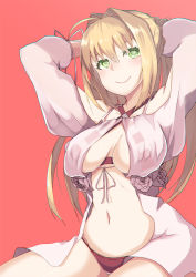 Rule 34 | 1girl, adjusting hair, ahoge, eyelashes, fate/grand order, fate (series), flower, green eyes, hair intakes, johnny funamushi, long hair, navel, nero claudius (fate), nero claudius (fate) (all), nero claudius (swimsuit caster) (fate), nero claudius (swimsuit caster) (third ascension) (fate), red background, rose, simple background, smile, solo, swimsuit