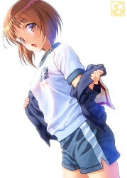 Rule 34 | 1girl, artist logo, bad id, bad pixiv id, blue jacket, blue shorts, brown eyes, character name, clothes pull, cowboy shot, dutch angle, emblem, girls und panzer, gym shorts, gym uniform, highres, jacket, jacket pull, looking at viewer, nishizumi miho, off shoulder, ooarai (emblem), ooarai military uniform, open clothes, open jacket, pairan, print shirt, shirt, short hair, short shorts, short sleeves, shorts, simple background, single vertical stripe, solo, standing, sweat, t-shirt, white background, white shirt