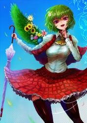 Rule 34 | 1girl, amaguri (artist), ascot, black thighhighs, blood, blue background, blue eyes, colored eyelashes, female focus, flower, green hair, highres, kazami yuuka, lace, lace-trimmed legwear, lace trim, looking at viewer, multicolored eyes, open mouth, parasol, plaid, plaid skirt, plaid vest, red eyes, rose, shirt, short hair, single wing, skirt, skirt set, sky, solo, sunflower, thighhighs, touhou, umbrella, vest, white shirt, wings