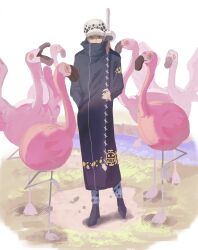 Rule 34 | 1boy, animal, bird, black coat, coat, confused, covered mouth, flamingo, hand in pocket, hat, highres, holding, holding sheath, holding sword, holding weapon, jolly roger, long coat, male focus, no lineart, one piece, saitani, shaded face, sheath, sheathed, simple background, solo, surrounded, sword, trafalgar law, weapon
