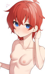 Rule 34 | 1girl, binsen, blue eyes, blush, breasts, closed mouth, collarbone, flying sweatdrops, hair between eyes, hand up, highres, idolmaster, idolmaster million live!, julia (idolmaster), looking at viewer, nipples, nude, red hair, short hair, small breasts, solo, upper body