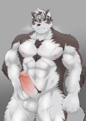 Rule 34 | 1boy, abs, ainu clothes, animal ears, bara, breath, chest hair, come hither, completely nude, erection, furry, furry male, grey fur, grey hair, headband, highres, horkeu kamui, ioenami, large pectorals, large penis, looking at viewer, male focus, male pubic hair, muscular, muscular male, navel, nipples, nude, pectorals, penis, presenting, pubic hair, scar, scar on arm, scar on chest, scar on leg, seductive smile, short hair, smile, solo, stomach, tail, testicles, thick thighs, thighs, tokyo houkago summoners, two-tone fur, uncensored, veins, veiny penis, white fur, wolf boy, wolf ears, wolf tail, yellow eyes