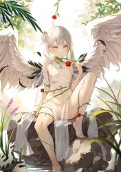 Rule 34 | 1girl, absurdres, barefoot, blood, breasts, closed mouth, dampi, day, dress, feathered wings, feathers, flower, highres, knee up, looking at viewer, medium hair, one side up, original, pelvic curtain, plant, red flower, red rose, rock, rose, scratches, see-through, sitting, sitting on rock, small breasts, solo, torn clothes, torn dress, vines, white dress, white hair, wings, yellow eyes