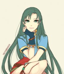 Rule 34 | 1girl, bad id, bad twitter id, fingerless gloves, fire emblem, fire emblem: the blazing blade, gloves, green eyes, green hair, highres, kyou (ningiou), long hair, looking at viewer, lyn (fire emblem), nintendo, simple background, smile, solo
