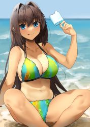 Rule 34 | 1girl, absurdres, alternate costume, aozaki aoko, beach, bikini, blue bikini, blue eyes, breasts, brown hair, cleavage, commentary request, food, green bikini, hair between eyes, hair intakes, highres, holding, holding food, large breasts, long hair, looking at viewer, mahou tsukai no yoru, moobong, multicolored bikini, multicolored clothes, navel, outdoors, popsicle, sand, sitting, sky, solo, stomach, swimsuit, tongue, tongue out, water