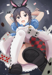 Rule 34 | 1girl, :o, alice in wonderland, animal ears, antenna hair, argyle clothes, argyle socks, arms up, asymmetrical legwear, black footwear, black hair, black socks, blue dress, blurry, blurry background, blurry foreground, bottle, breasts, card, cosplay, depth of field, dress, falling, from below, full body, gradient background, grey background, idolmaster, idolmaster (classic), kikuchi makoto, looking at viewer, mary janes, medium breasts, mismatched legwear, mogskg, open mouth, petticoat, playing card, polka dot, polka dot dress, puffy short sleeves, puffy sleeves, rabbit ears, red socks, shoes, short hair, short sleeves, shouting, socks, solo, thighhighs, two-tone dress, white dress, white rabbit (alice in wonderland), white rabbit (alice in wonderland) (cosplay), white thighhighs, wrist cuffs