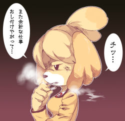 Rule 34 | 1girl, anger vein, angry, animal crossing, animal ears, animal nose, black background, blonde hair, body fur, brown background, cigarette, commentary request, dog, dog ears, dog girl, furry, furry female, gradient background, highres, hnzk aroma, isabelle (animal crossing), long sleeves, medium hair, nintendo, simple background, smoking, solo, topknot, translation request, upper body, white fur, yellow fur