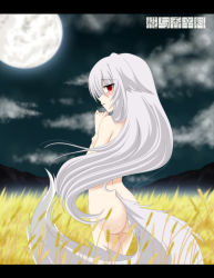 Rule 34 | 1girl, alternate hairstyle, animal ears, ass, auer, bad id, bad pixiv id, breasts, completely nude, female focus, inubashiri momiji, long hair, medium breasts, moon, nature, nude, outdoors, parody, plant, sky, solo, spice and wolf, tail, touhou, wolf ears, wolf tail