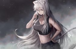 Rule 34 | 1girl, absurdres, animal ears, bad id, bad pixiv id, bare arms, bare shoulders, breasts, cleavage, commentary request, crop top, dog tags, grey eyes, hair down, hand on own hip, hand up, highres, hololive, ioriwu8, large breasts, lion ears, lion tail, long hair, looking at viewer, midriff, navel, shishiro botan, shishiro botan (button-down), silver hair, smile, solo, sports bra, stomach, tail, upper body, very long hair, virtual youtuber