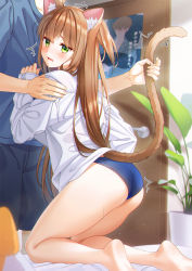 Rule 34 | 1boy, 1girl, animal ear fluff, animal ears, ass, bare legs, barefoot, blue panties, blush, brown hair, cat ears, cat tail, fang, from behind, grabbing, green eyes, highres, indoors, kneeling, leaning on person, long hair, mole, mole on ass, open mouth, original, panties, plant, potted plant, shirt, shoulder grab, tail, tail grab, underwear, unjem, white shirt
