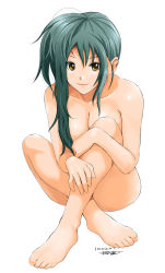 Rule 34 | 1girl, asymmetrical hair, barefoot, breasts, censored, cleavage, convenient censoring, feet, green hair, hair censor, hair over breasts, indian style, legs, lips, long hair, medium breasts, nude, original, ryouzou, shiny skin, signature, simple background, sitting, smile, solo, yellow eyes