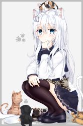 Rule 34 | 1girl, :&lt;, animal, animal ears, animal on head, animal on lap, black cat, black footwear, black thighhighs, blue eyes, blue skirt, blush, border, cat, cat ears, cat tail, closed mouth, commentary request, grey background, grey border, hair between eyes, hair ornament, hairpin, hat, hibiki (kancolle), highres, kantai collection, loafers, long hair, long sleeves, looking at viewer, niruanu (nitayam), on head, on lap, playing with own hair, pleated skirt, school uniform, serafuku, shirt, shoes, silver hair, simple background, skirt, solo, squatting, tail, tareme, thighhighs, unworn hat, unworn headwear, verniy (kancolle), very long hair, white hat, white shirt, zettai ryouiki