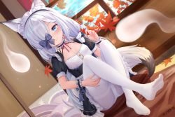 Rule 34 | 1girl, absurdres, alternate costume, animal ear fluff, animal ears, apron, autumn leaves, azur lane, bed, blue eyes, blue sky, bow, dress, ear cleaning, enmaided, feet, fox ears, fox girl, fox tail, hair bow, hair over one eye, highres, holding, indoors, kasumi (azur lane), leaf, long hair, looking at viewer, maid, maid apron, maid headdress, maple leaf, mimikaki, no shoes, on bed, one eye covered, panties, panties under pantyhose, pantyhose, sechka, sitting, sky, smile, soles, solo, tail, underwear, white hair, white pantyhose