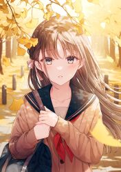Rule 34 | 1girl, ascot, autumn, bad id, bad pixiv id, bag, black sailor collar, blue bag, blush, bow, brown hair, brown sweater, collarbone, day, falling leaves, forest, grey eyes, hair bow, highres, holding, holding bag, leaf, long sleeves, looking at viewer, nature, open mouth, original, outdoors, own hands together, parted bangs, pink bow, red ascot, sailor collar, sidelocks, solo, standing, stone, sunlight, sweater, tadano yukiko, teeth, tree, undershirt, upper body