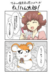 Rule 34 | 1girl, :d, ^ ^, aka (s3637), animal, blush, blush stickers, brown hair, closed eyes, flying sweatdrops, hair ornament, hairclip, hamster, hamtaro, hamtaro (series), hamutarou (hamutarou), haruna hiroko, looking at another, looking up, monochrome background, open mouth, pink shirt, shirt, smile, talking, text focus, translation request, whiskers