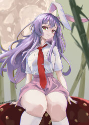 Rule 34 | 1girl, absurdres, animal ears, arm support, bamboo, breasts, green eyes, highres, knees together feet apart, large breasts, long hair, mishiku, multicolored eyes, mushroom, necktie, purple eyes, purple hair, purple skirt, rabbit ears, red necktie, reisen udongein inaba, shirt, sitting, skirt, solo, thick thighs, thighs, touhou, very long hair, white shirt, wing collar