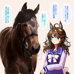 Rule 34 | 1girl, ahoge, animal ears, blue eyes, blue ribbon, bow, bowtie, brown hair, check translation, commentary, creature and personification, daring tact (racehorse), daring tact (umamusume), fantomyu, hair ornament, hair ribbon, highres, horse, horse ears, horse girl, horse tail, horseshoe ornament, long sleeves, looking at another, medium hair, multicolored hair, pink background, pleated skirt, purple skirt, ribbon, school uniform, serafuku, simple background, skirt, swept bangs, tail, tracen school uniform, translation request, umamusume, wavy hair, white bow, white bowtie, white hair, winter uniform