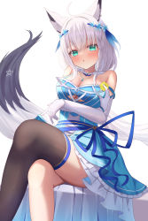Rule 34 | 1girl, :o, absurdres, ahoge, animal ear fluff, animal ears, aquarium (visual novel), black thighhighs, blue dress, blush, braid, breast hold, breasts, cleavage, commentary, crossed arms, crossed legs, dress, earrings, elbow gloves, fox ears, fox girl, fox tail, gloves, green eyes, hair between eyes, hair ornament, highres, holding, holding petal, hololive, jewelry, long hair, looking at viewer, medium breasts, necklace, pentagram, petals, saki (saki paint), shirakami fubuki, sidelocks, simple background, single braid, single thighhigh, sitting, solo, tail, thighhighs, underboob, virtual youtuber, white background, white gloves, white hair, wristband
