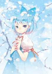 Rule 34 | 1girl, blue background, blue eyes, blue hair, bow, cherry blossoms, cirno, domotolain, embodiment of scarlet devil, female focus, flower, from side, hair bow, matching hair/eyes, nature, outdoors, petals, short hair, sky, solo, touhou, wings