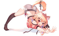 Rule 34 | 1girl, ahoge, animal ears, ass, black socks, blonde hair, cat ears, cat girl, cat tail, clothing cutout, commentary, crop top, english commentary, facial mark, hair ornament, hairclip, hands on ground, highres, indie virtual youtuber, jack-o&#039; challenge, kneehighs, long hair, looking at viewer, midriff, no shoes, pink shirt, red eyes, shirt, short shorts, shorts, shoulder cutout, shyrei faolan, socks, solo, spread legs, squchan, tail, thighs, tongue, tongue out, top-down bottom-up, virtual youtuber, white shorts, wide spread legs