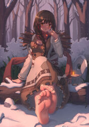 Rule 34 | 1girl, absurdres, barefoot, braid, branch, breasts, brown eyes, cleavage, feet, foreshortening, highres, kafei ji, light blush, log, long hair, looking at viewer, medium breasts, parted lips, scarf, sitting, snow, soles, solo, toes, tree, very long hair