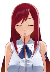 Rule 34 | 1girl, animated, animated gif, arm tattoo, brown eyes, drawfag, erza scarlet, fairy tail, food, foreshortening, long hair, looking at viewer, one eye closed, pocky, red hair, simple background, solo, tattoo, upper body, white background