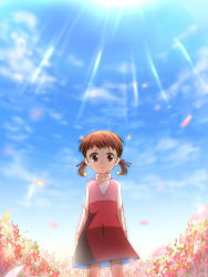 Rule 34 | 1girl, atlus, bad id, bad pixiv id, brown eyes, brown hair, child, day, doujima nanako, flower, highres, kamio an, kamioyuu, persona, persona 4, short twintails, sky, solo, twintails